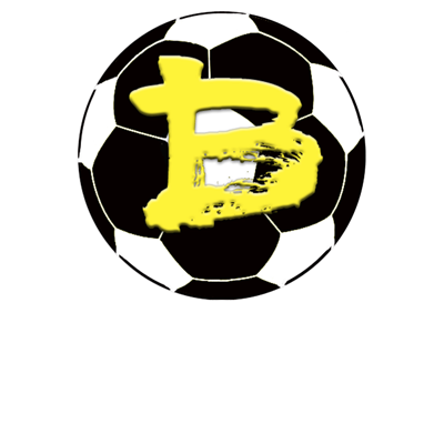 Badaila-Logo-web_neg